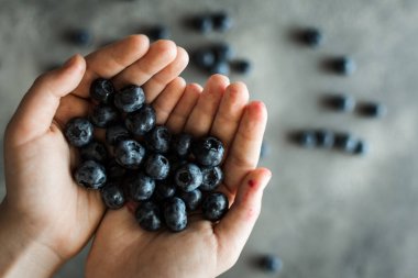 Blueberrys rustik koyu arka plan üzerinde tutan eller. Superfood sağlıklı beslenme kavramı.