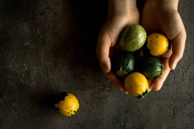 Sarı ve yeşil yuvarlak kabak rustik koyu arka plan üzerinde tutan eller