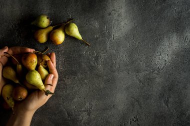 Kopya alanı rustik koyu zemin üzerine armut tutan eller