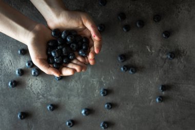 Blueberrys rustik koyu arka plan üzerinde tutan eller. Superfood sağlıklı beslenme kavramı.