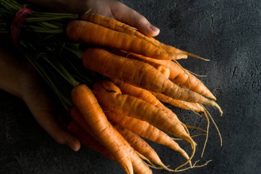 Organik Nantes havuç tutan eller. Temiz Superfood sağlıklı beslenme kavramı.