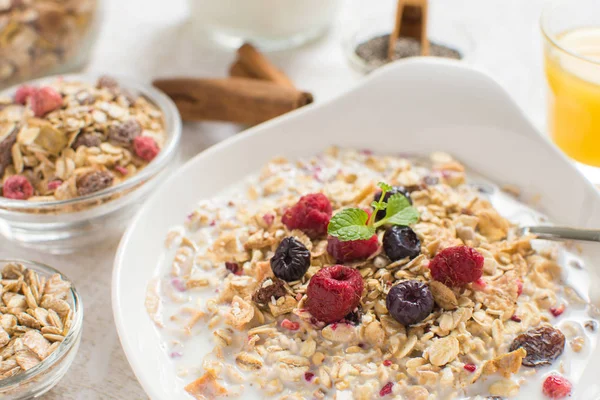 Muesli With Milk, Chia Seeds, Berries and Cinnamon as Healthy Br — Stock Photo, Image