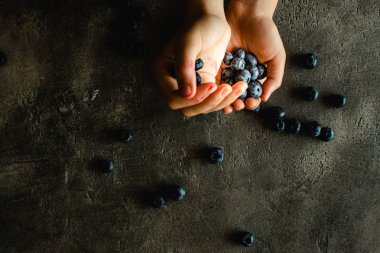 Eller Koyu Arka Plan Üzerinde Organik Yaban Mersini Holding. Superfood Sağlıklı Beslenme Kavramı.