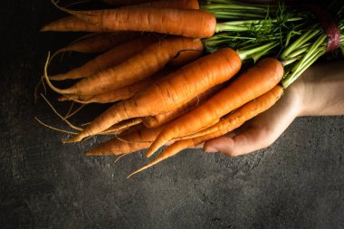 Rustik Koyu Arka Plan Üzerinde Nantes Havuç