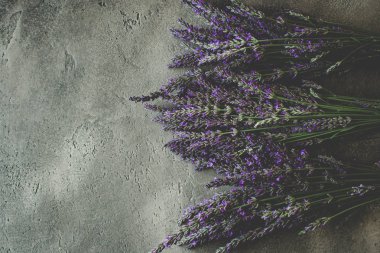 Rustik Koyu Arka Plan lavanta Çiçek Buketi. Davranır Uyku Sorunları.