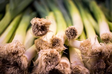 Organik Bahar Soğan Yığını Close Up Arka Plan. Sağlıklı Beslenme.