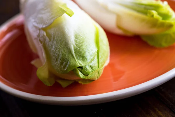 Cikória friss saláta. Nyers Witloof szerves egészséges táplálkozás. — Stock Fotó