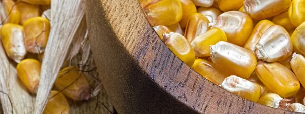 Насіння кукурудзи в дерев'яний кубок крупним планом. Добрий урожай. — стокове фото