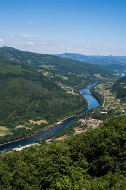 River Drina in the Valley of Tara Mountain clipart