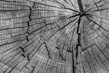 Eski Sleeper Çatlak Ahşap Doku Yüksek Kontrastlı Arka Plan