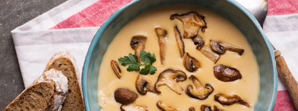 Crème Paddestoel Soep Bowl Stenen Achtergrond Zelfgemaakte Paddestoelen Pottage Puree — Stockfoto