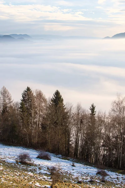 Vista da manhã paisagem com ondas de nevoeiro sobre a montanha e T — Fotografia de Stock