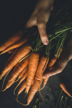 Koyu Arka Plan Taze Organik Nantes Havuç