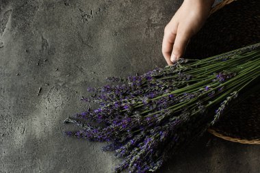 Rustik Koyu Arka Plan Taze Lavanta Çiçekler