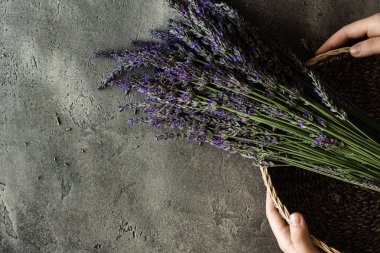 Rustik Koyu Arka Plan Taze Lavanta Çiçekler