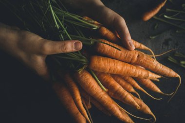 Koyu Arka Plan Taze Organik Nantes Havuç