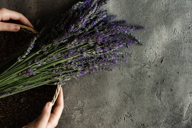 Rustik Koyu Arka Plan Taze Lavanta Çiçekler