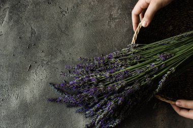 Rustik Koyu Arka Plan Taze Lavanta Çiçekler