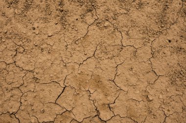 Çatlak Kuru Kil Zemin Arka Plan ve Doku