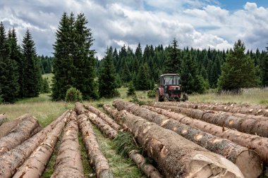 Ahşap Sanayi için Kırmızı Traktör Çekme Ağaç Günlükleri. Ormanın Kesilmesi.