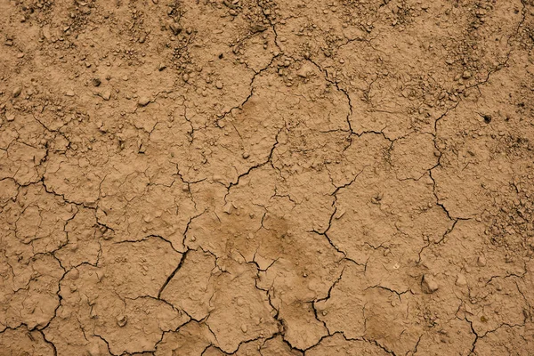 Çatlak Kuru Kil Zemin Arka Plan ve Doku