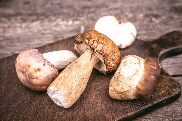 Deliciosos tipos de setas silvestres comestibles sobre fondo de madera. Naturaleza y concepto de comida saludable . —  Fotos de Stock