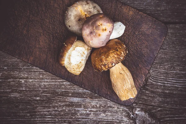 나무 판자 배경에 식용 야생 버섯의 맛있는 유형. 자연과 건강한 음식 개념. — 스톡 사진