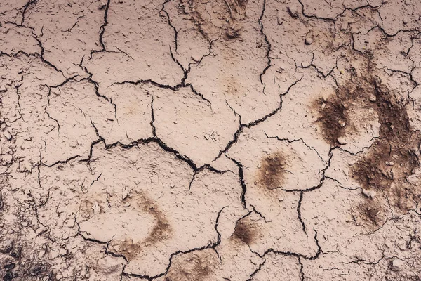 Çatlak Kuru Kil Zemin Arka Plan ve Doku