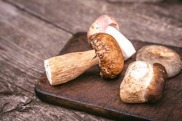 Deliciosos tipos de setas silvestres comestibles sobre fondo de madera. Naturaleza y concepto de comida saludable . —  Fotos de Stock