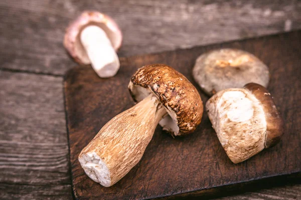 Deliciosos tipos de setas silvestres comestibles sobre fondo de madera. Naturaleza y concepto de comida saludable . —  Fotos de Stock