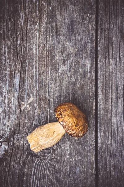 Heerlijke soorten eetbare wilde paddestoelen op houten plank achtergrond. Natuur en gezond voedsel concept. — Stockfoto