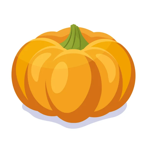 Ilustración de vector de calabaza naranja. Calabaza de Halloween de otoño, vegetal — Archivo Imágenes Vectoriales