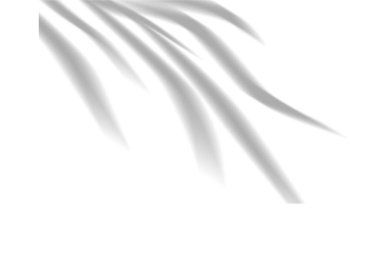 Yumuşak, dağınık güneş ışığını içeren soyut bir arkaplan parlak beyaz bir yüzey üzerinde temiz, geometrik gölgeler yaratarak sakinlik ve basitlik hissi uyandırıyor..