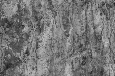 Yumuşak, dağınık güneş ışığını içeren soyut bir arkaplan parlak beyaz bir yüzey üzerinde temiz, geometrik gölgeler yaratarak sakinlik ve basitlik hissi uyandırıyor..