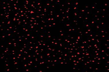 Yumuşak, dağınık güneş ışığını içeren soyut bir arkaplan parlak beyaz bir yüzey üzerinde temiz, geometrik gölgeler yaratarak sakinlik ve basitlik hissi uyandırıyor..