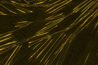 Çam iğnelerinin yakın plan görüntüsü altın ışıkla parıldayan, soyut bir desen oluşturuyor. Koyu arkaplan ışık efektini arttırır.
