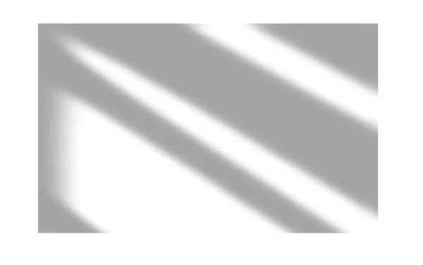 Yumuşak, dağınık güneş ışığını içeren soyut bir arkaplan parlak beyaz bir yüzey üzerinde temiz, geometrik gölgeler yaratarak sakinlik ve basitlik hissi uyandırıyor..