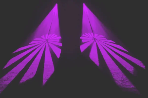 İki ruhani, ışıldayan mor kanat dışa doğru yayılmış, ışık huzmelerinden oluşmuş, derin, karanlık ve gizemli bir zemin üzerine kurulmuş..