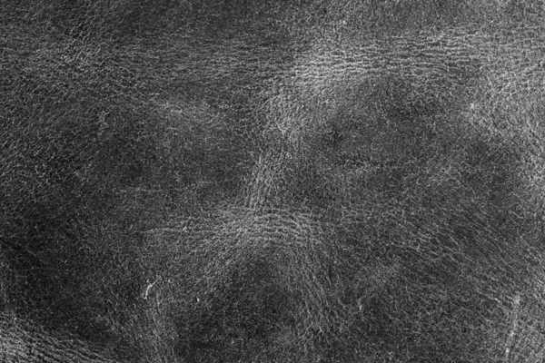 Yoğun, desenli yüzeyi sayısız ince, düzensiz çizgi ve işaretlerden oluşan soyut, monokromatik bir görüntü..