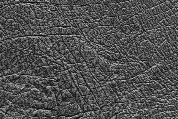 Ayrıntılı, yüksek çözünürlüklü, koyu renkli, desenli deri bir yüzey, karmaşık çatlaklar ve kıvrımlar gösteriyor..