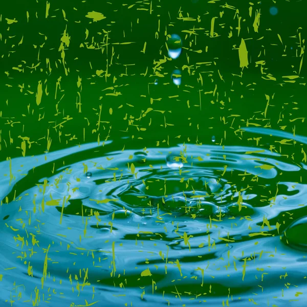 Tek bir yağmur damlası canlı yeşil suya düşer ve yüzey boyunca yayılan eşmerkezli dalgalanmalar yaratır..