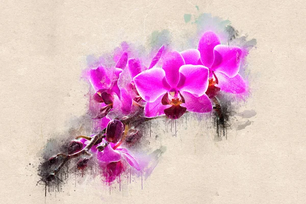 Orchid flowers on a branch. Acrylic ink.