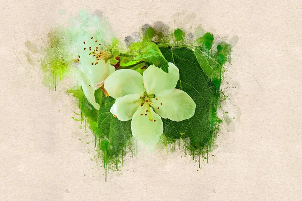 Mayıs ayında çiçek açan elma ağacı. Akrilik mürekkep.