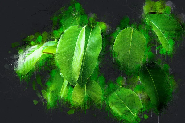 Taze renkli yeşil armut bırakır. Akrilik mürekkep.