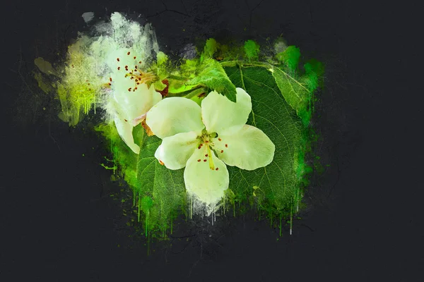 Mayıs ayında çiçek açan elma ağacı. Akrilik mürekkep.