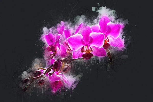 bir dal orkide çiçekler