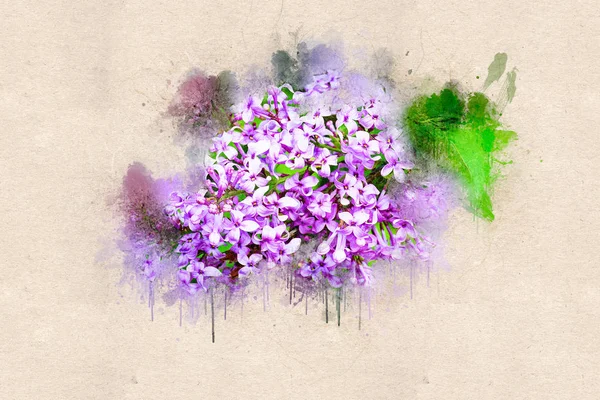 Primavera Floração Lilases Brilhantes Tinta Acrílica — Fotografia de Stock