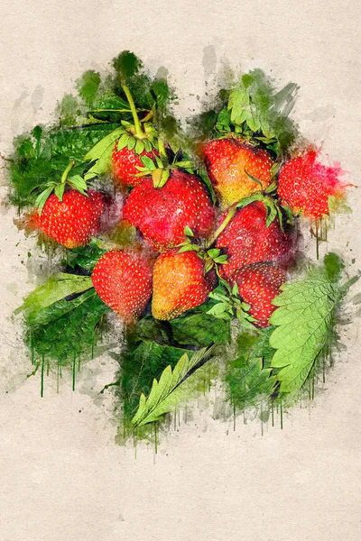 Yeşil yaprakları üzerinde sulu olgun çilek. Akrilik mürekkep