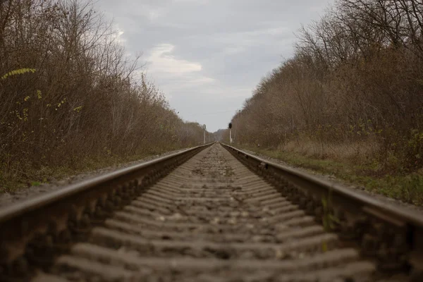 Demiryolu Mesafeye Gidiyor — Stok fotoğraf
