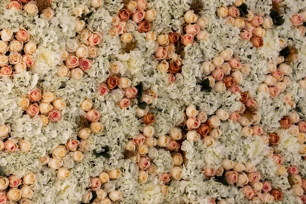 Duvar çeşitli renk gül